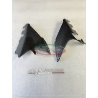 Carbonvani - Ducati Panigale / Streetfighter V4 Carbon Fiber Exhaust Delete Inserts (2025+)